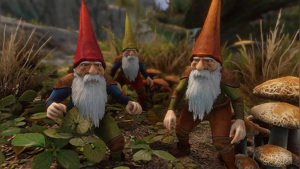 Elder Scrolls 5: Skyrim Special Edition — Garden gnomes