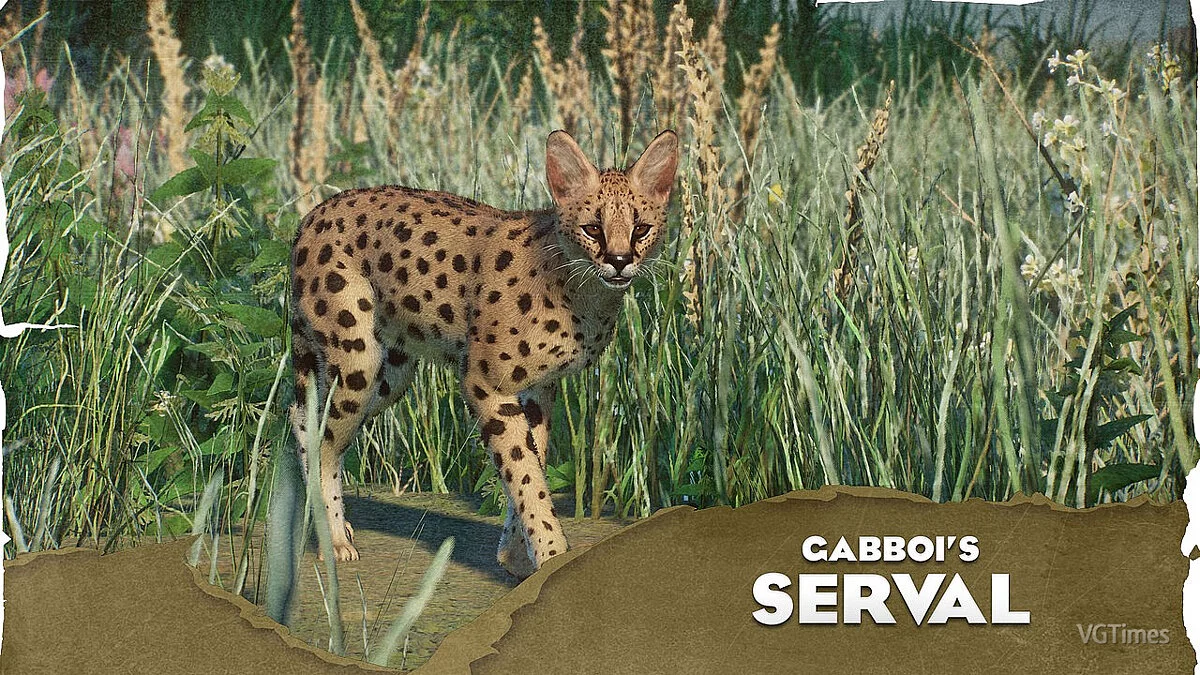 Planet Zoo — Serval - a new species