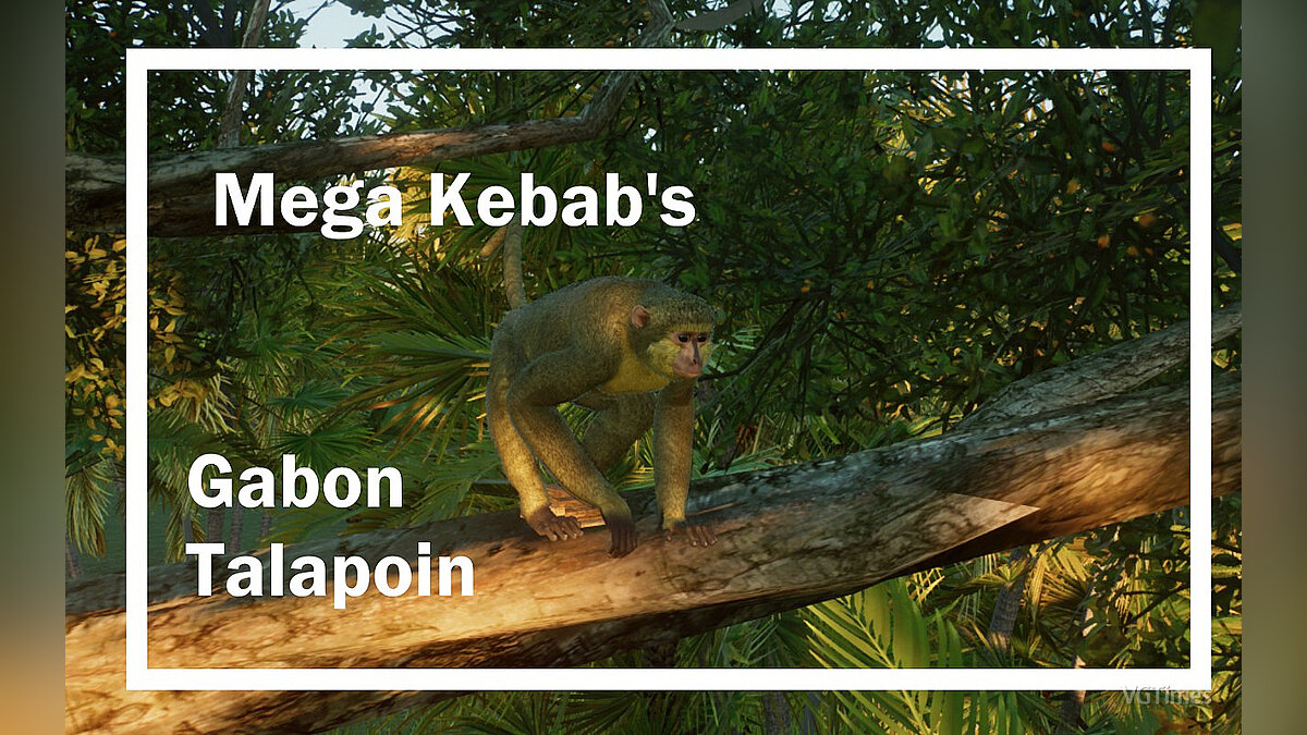 Planet Zoo — Gabon talapoin - a new species