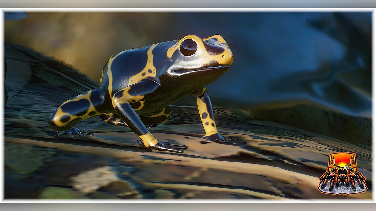 Planet Zoo — Dart frog set