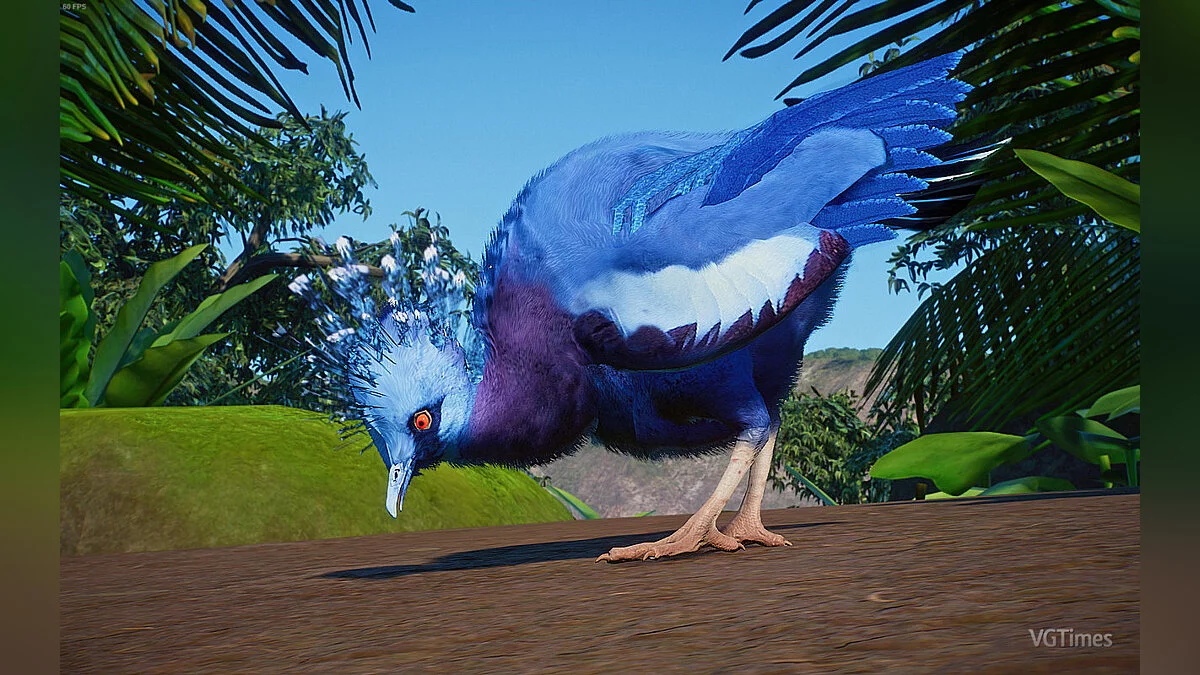 Planet Zoo — Коронований голуб Вікторії - новий вид