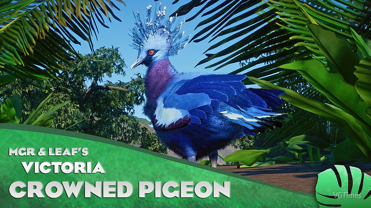 Planet Zoo — Paloma coronada de Victoria: una nueva especie