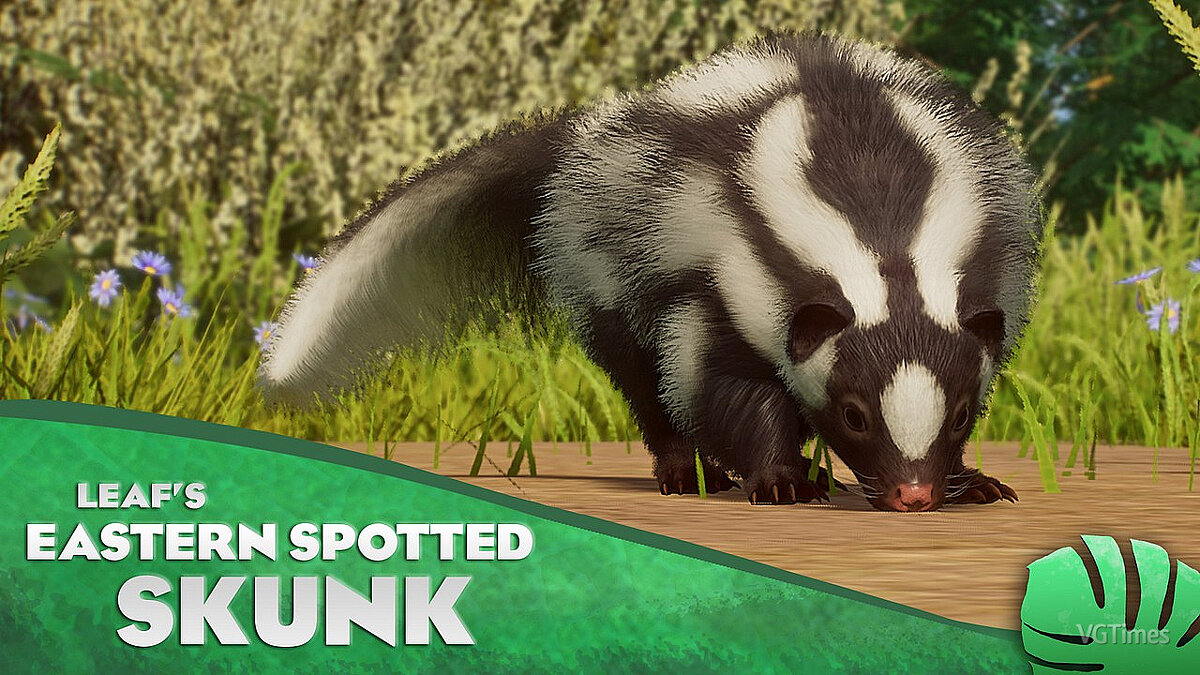 Planet Zoo — Eastern spotted skunk - new species