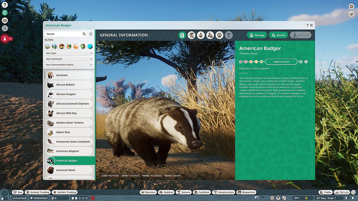 Planet Zoo — Американський барсук