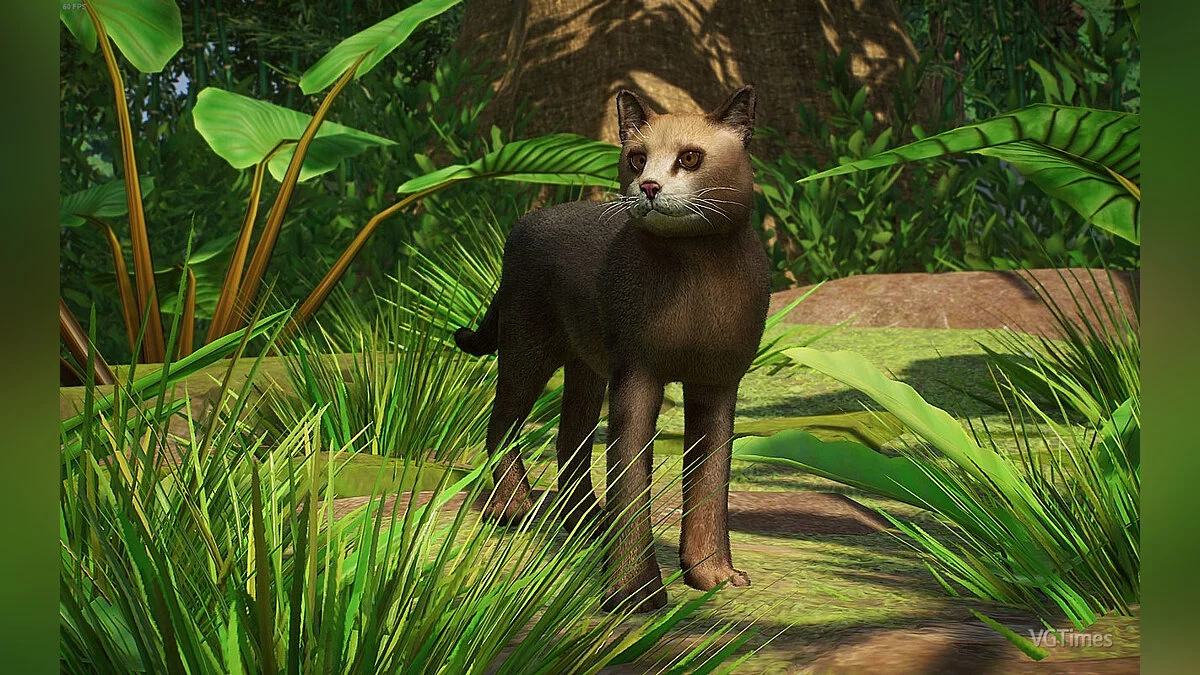 Planet Zoo — Кішка з джунглів - новий вид
