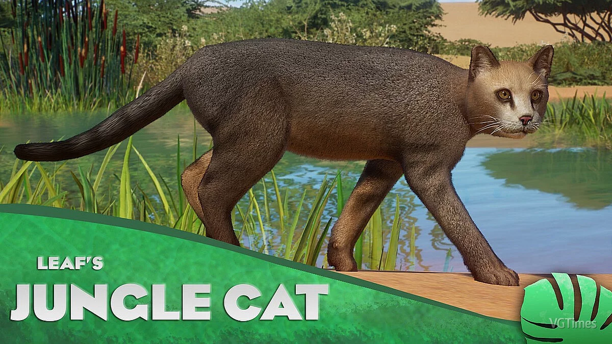 Planet Zoo — Gato de la selva: una nueva especie