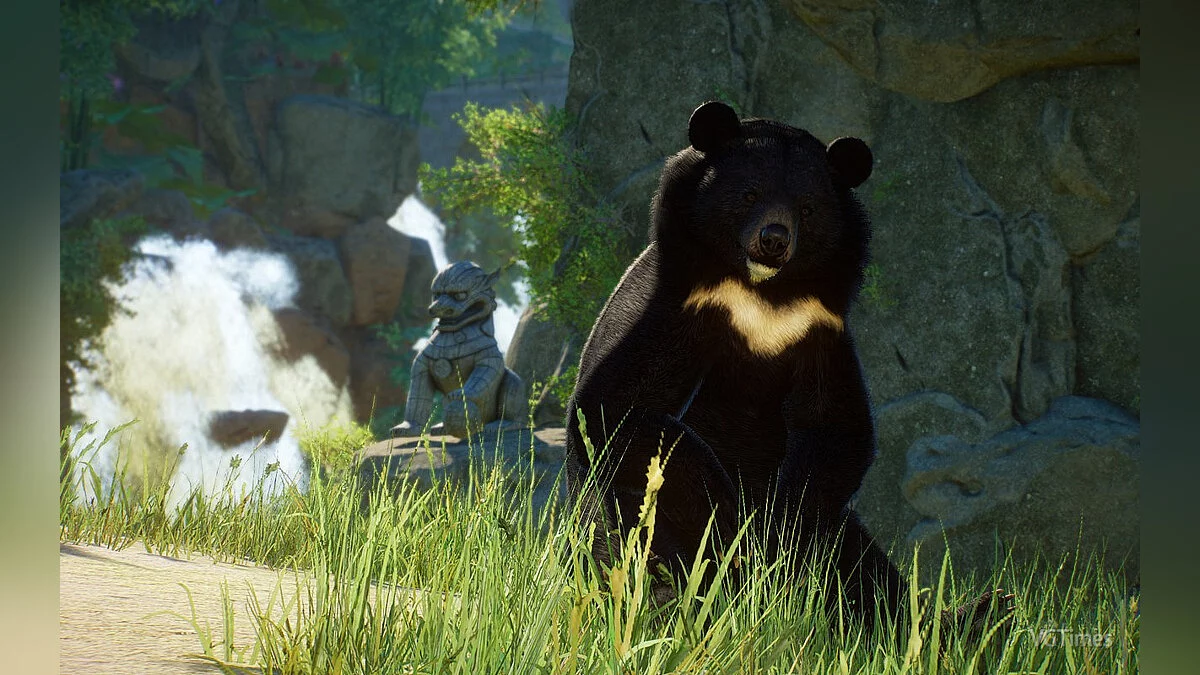 Planet Zoo — Формозький чорний ведмідь - новий вид