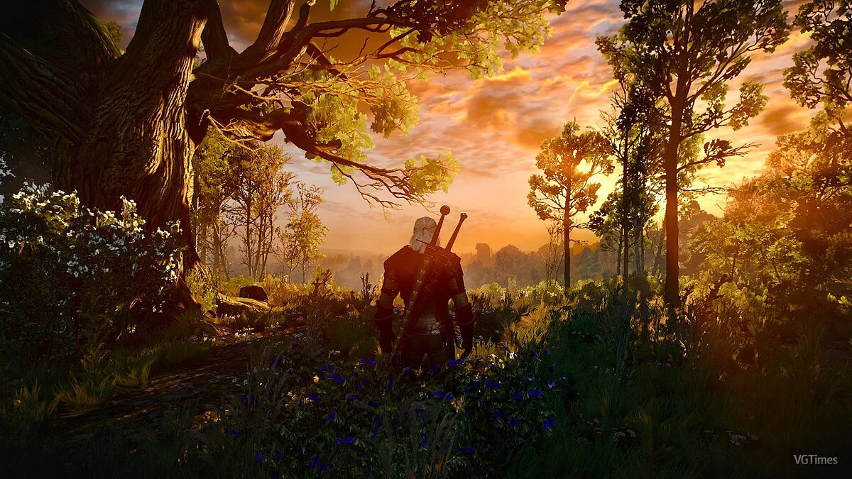 The Witcher 3: Wild Hunt - Complete Edition — Izboljšana bela vrtna razsvetljava