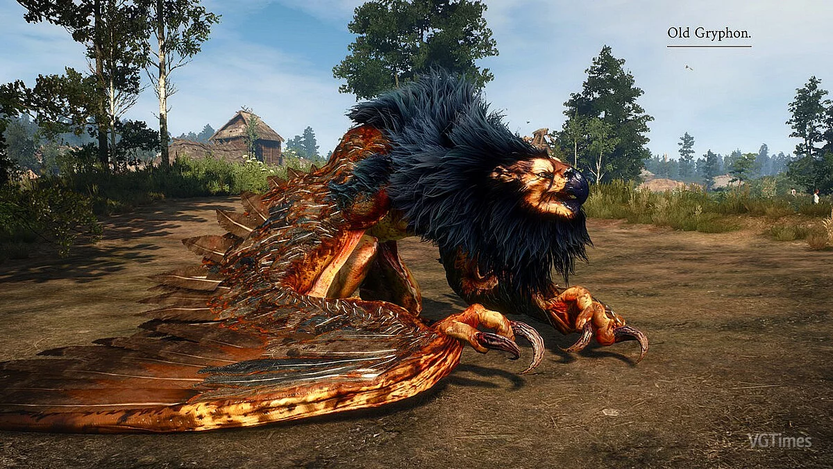 The Witcher 3: Wild Hunt - Complete Edition — Los grifos parecen leones