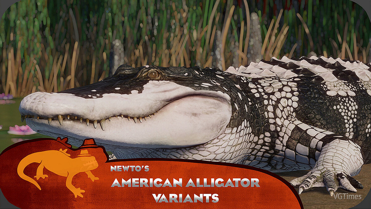 Planet Zoo — American Alligator Remaster