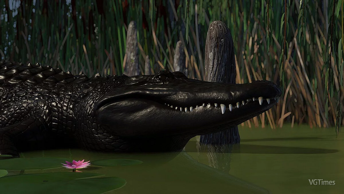 Planet Zoo — Ремастер американского аллигатора