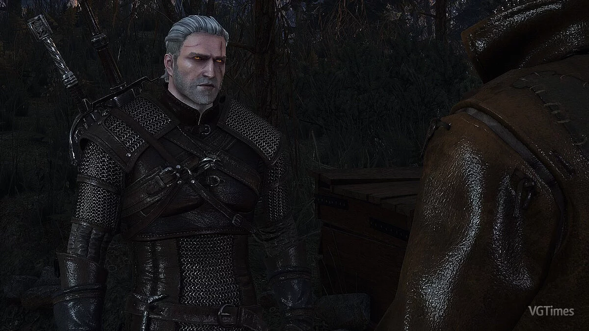 The Witcher 3: Wild Hunt - Complete Edition — Геральт 2013 року