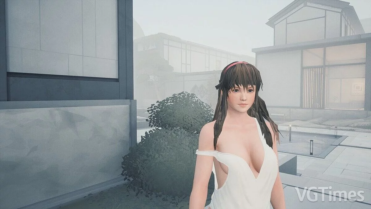 Sifu — Hitomi from the game Dead or Alive X3