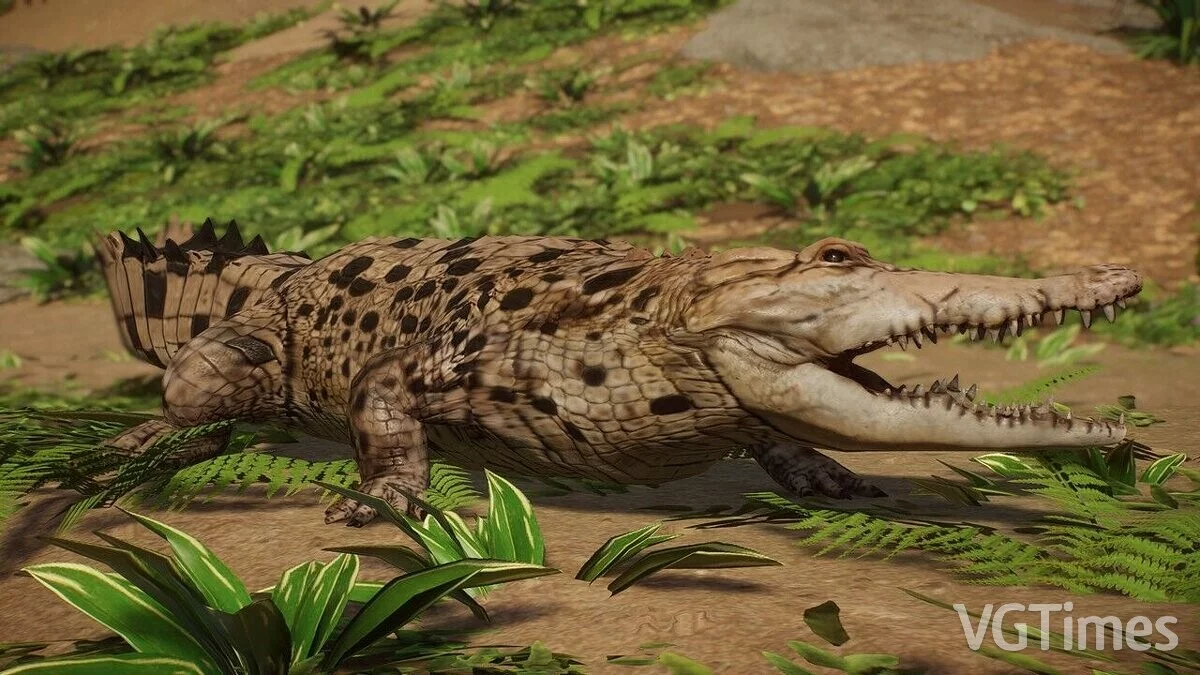 Planet Zoo — Orinoški krokodil - nova vrsta