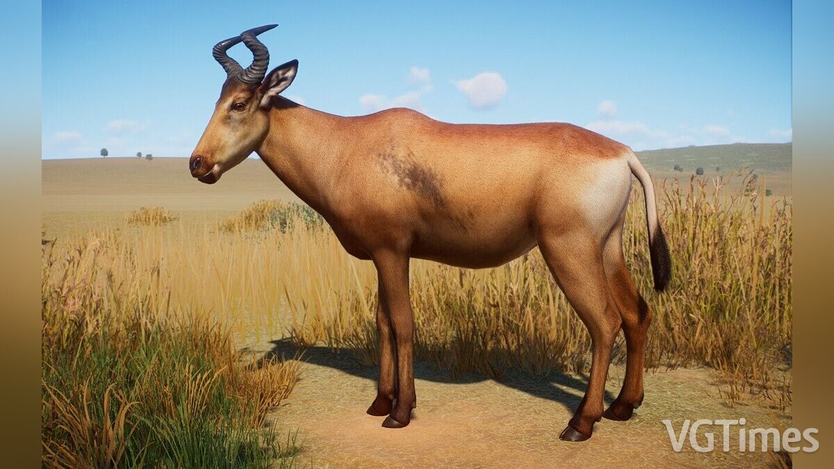 Planet Zoo — Liechtenstein Hartbeest - new species