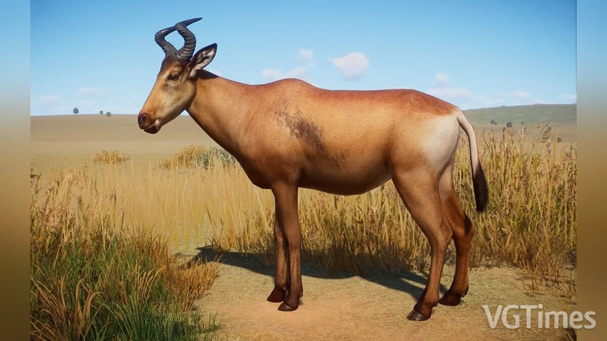 Planet Zoo — Liechtenstein Hartbeest - nueva especie