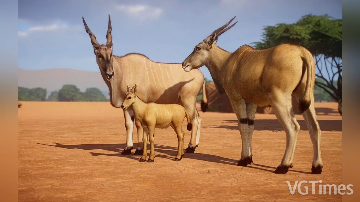 Planet Zoo — Eland común: una nueva especie