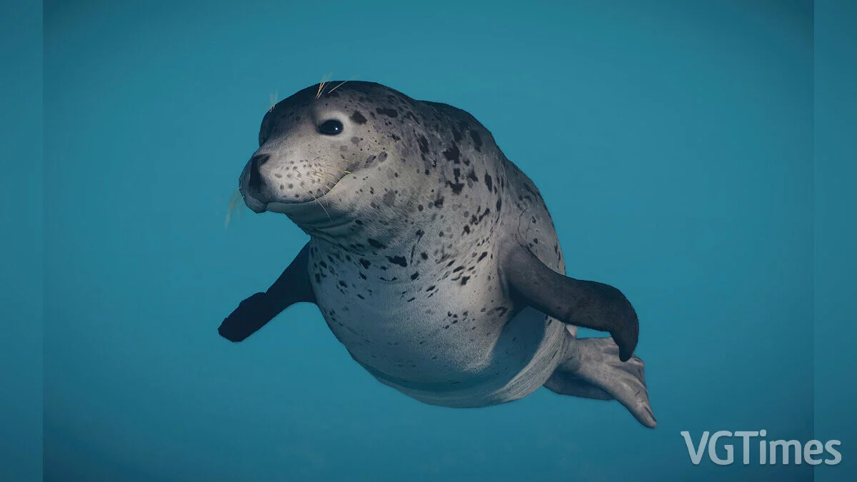 Planet Zoo — Spotted seal - new species