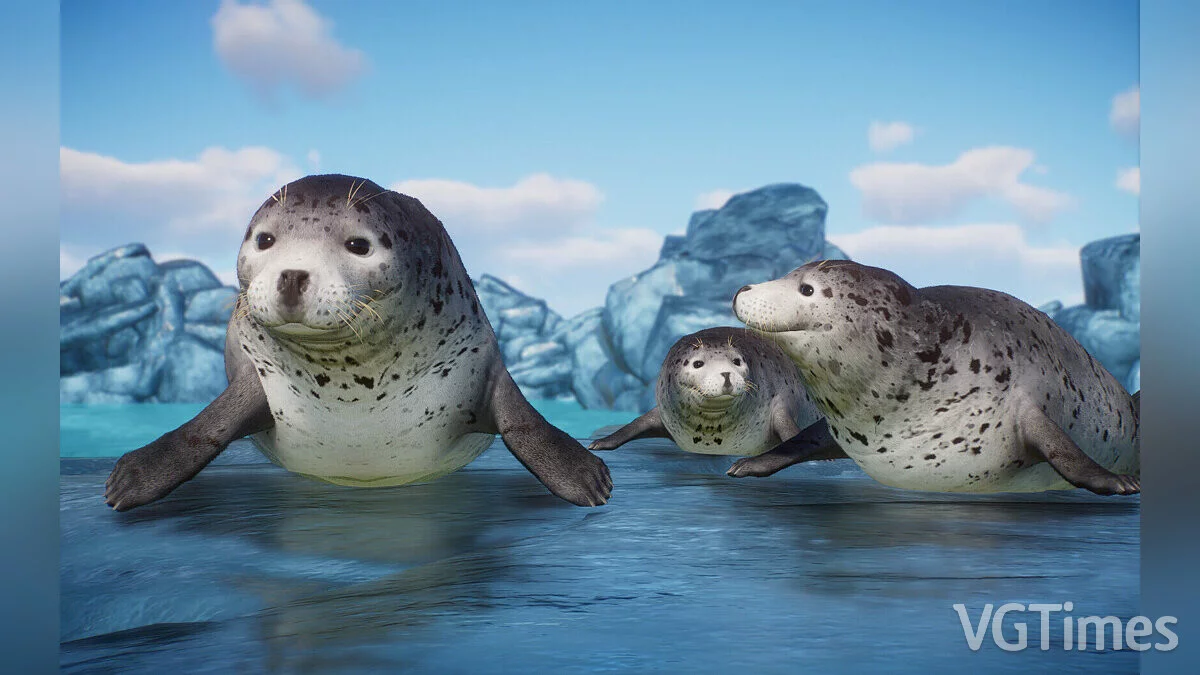 Planet Zoo — Пятнистый тюлень - новый вид