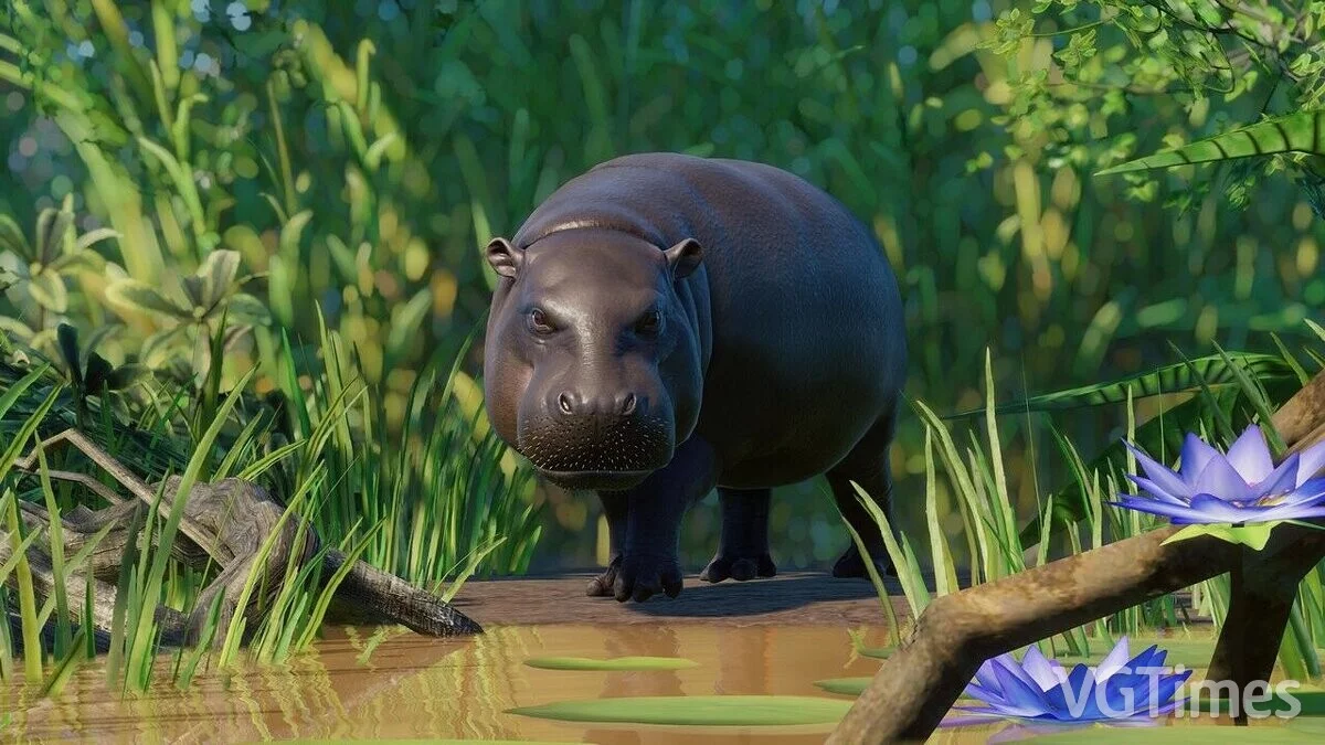 Planet Zoo — Pygmy hippopotamus remaster