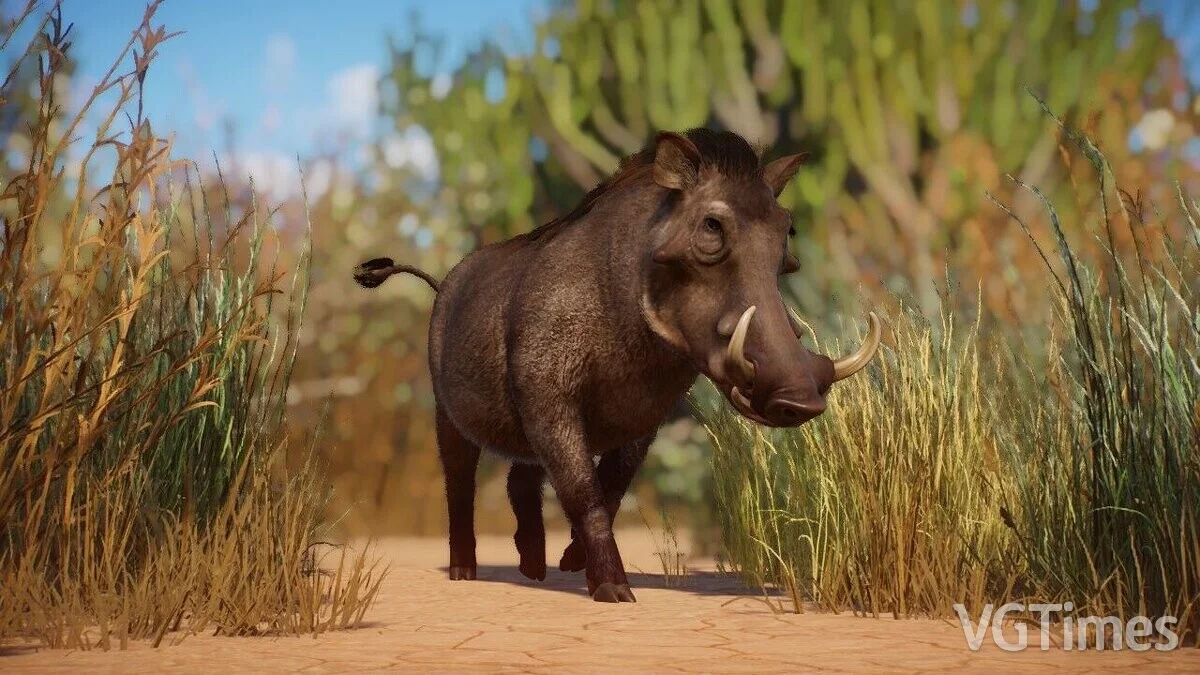 Planet Zoo — Warthog común remasterizado