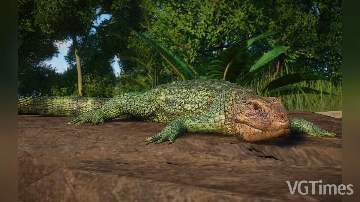 Planet Zoo — Lagarto caimán del norte - nueva especie