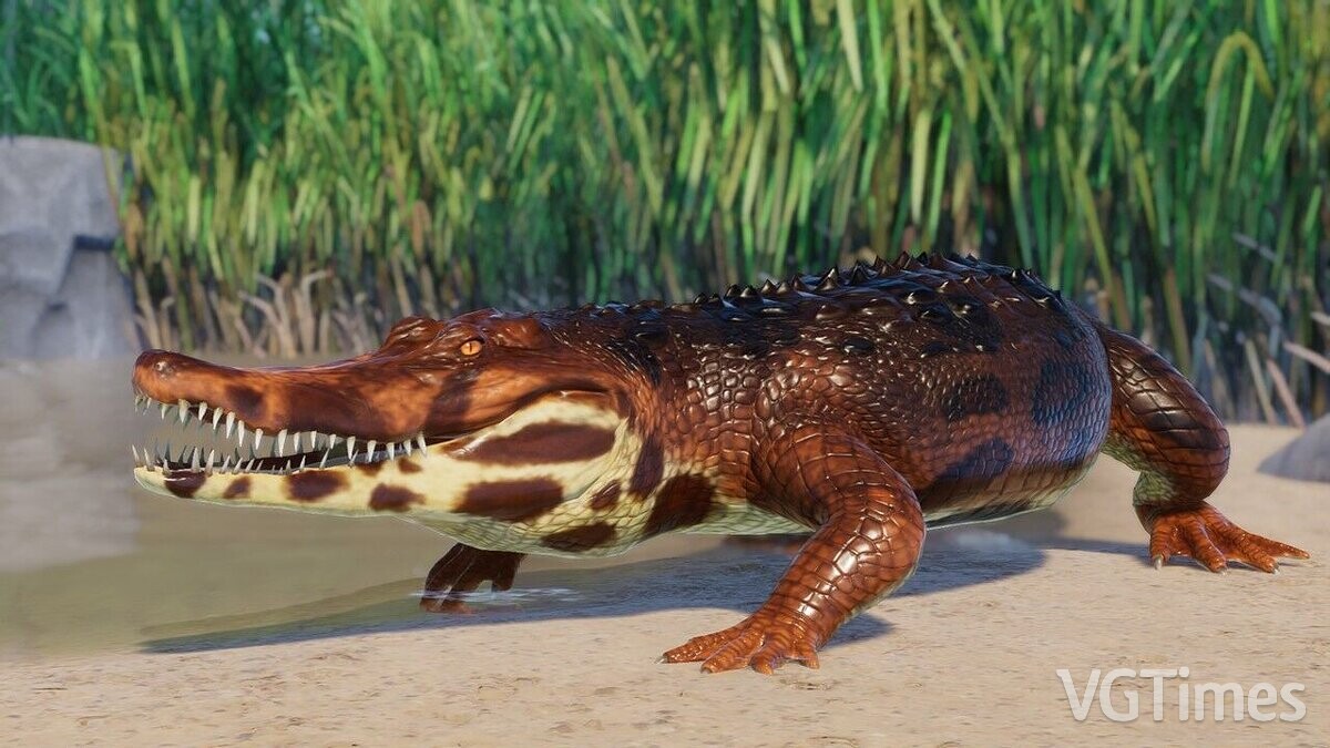 Planet Zoo — Tomistoma - a new species