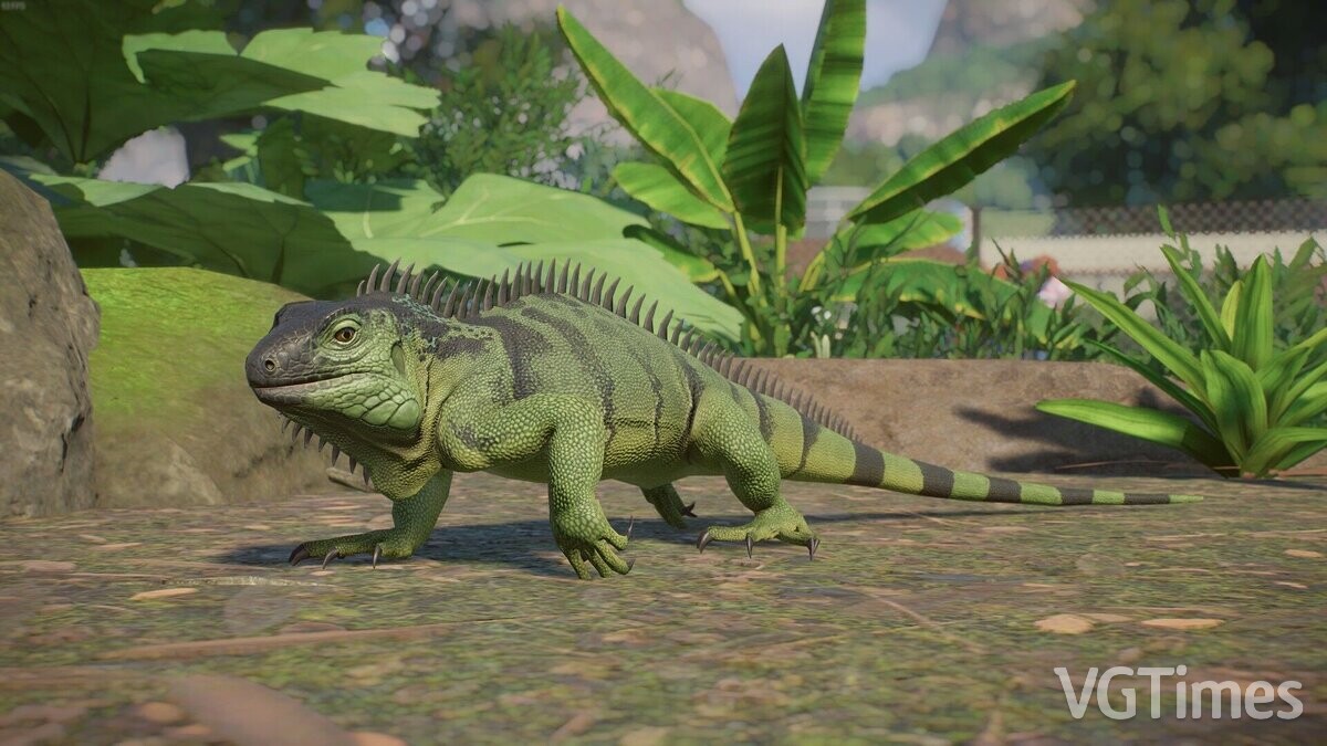 Planet Zoo — Green iguana - new species