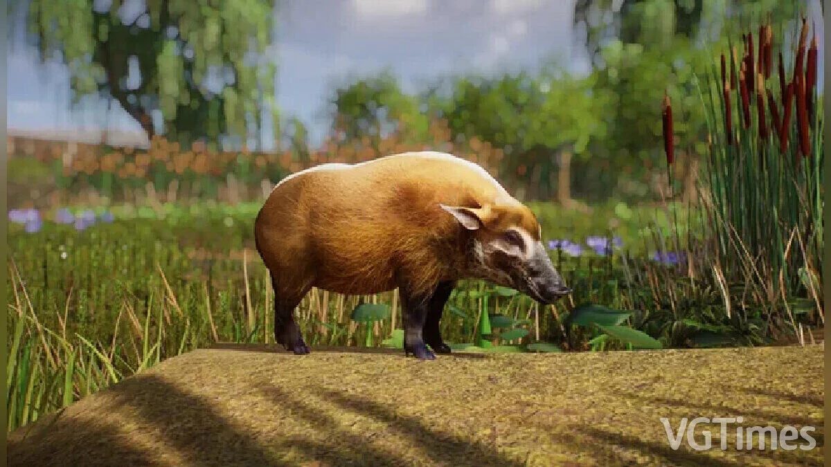 Planet Zoo — Red River Hog - New Species