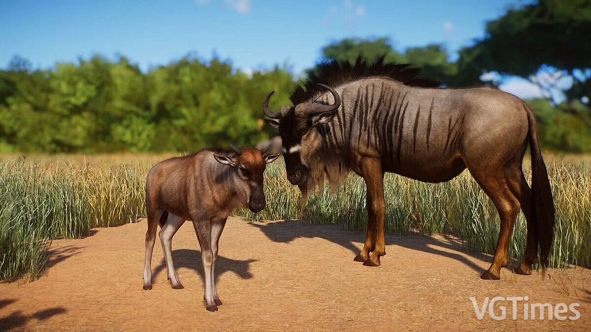 Planet Zoo — Ньясская дикая коза - новый вид