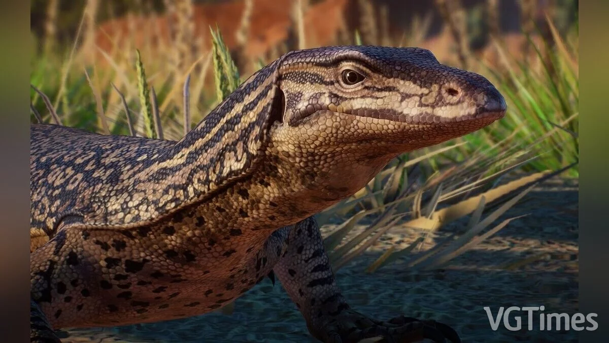 Planet Zoo — Піщаний гоанна - нові види