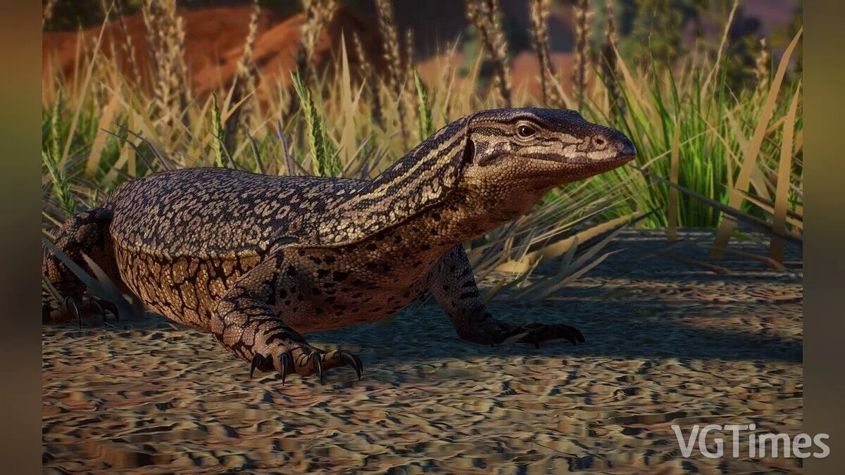 Planet Zoo — Sandy goanna - nueva especie