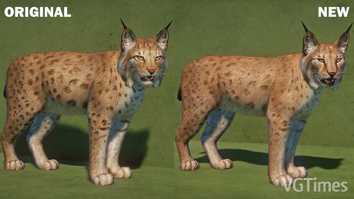 Planet Zoo — European lynx remaster