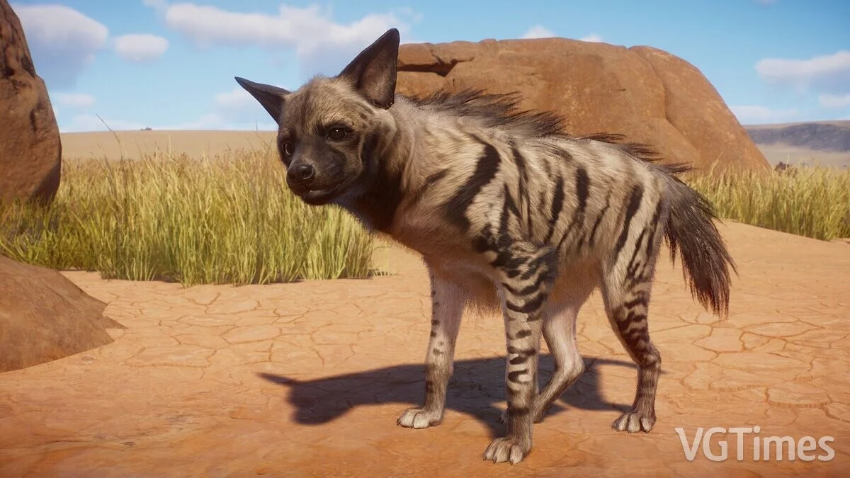 Planet Zoo — Striped Hyena Remaster