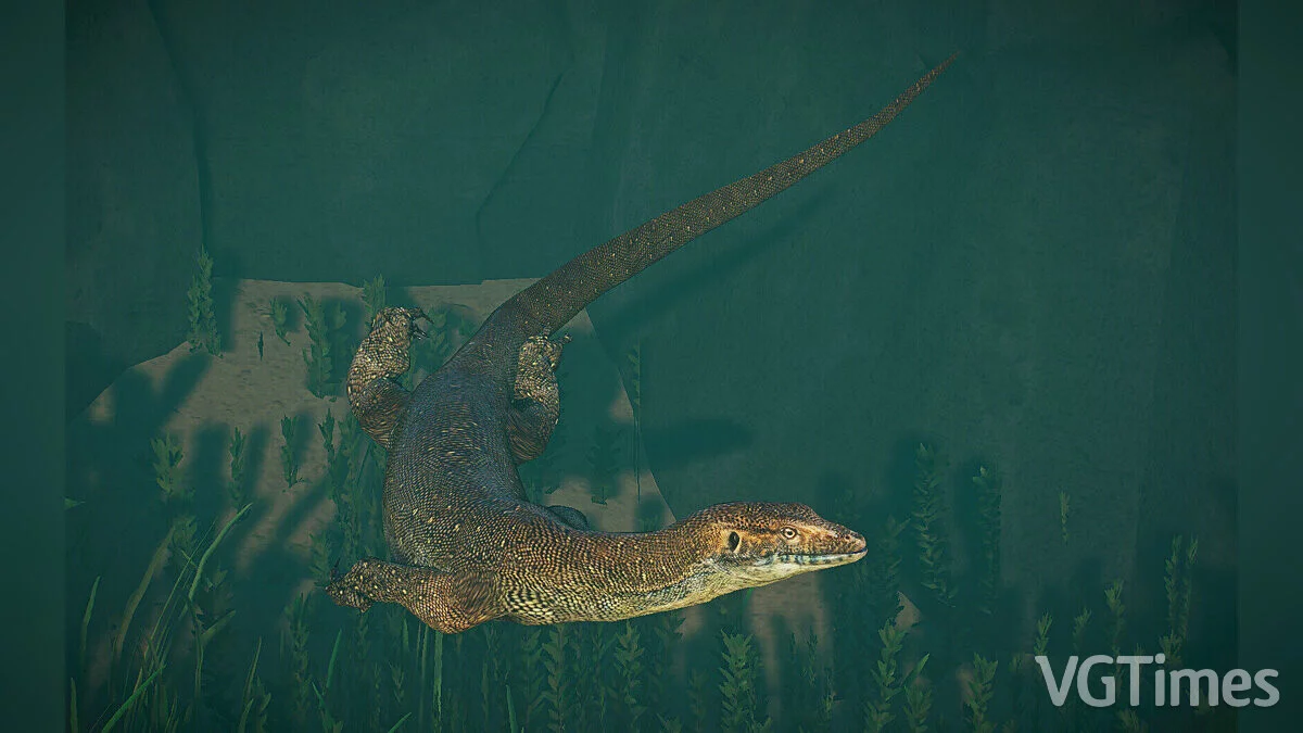 Planet Zoo — Водяной варан Мертена — новые виды