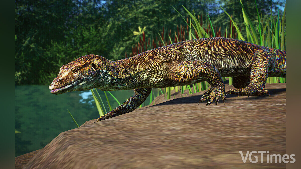 Planet Zoo — Merten's water monitor - new species