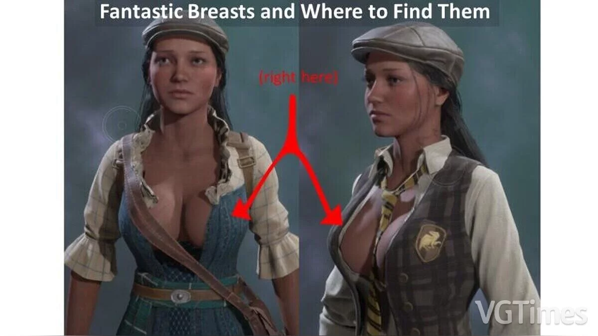 Hogwarts Legacy — Big breasts