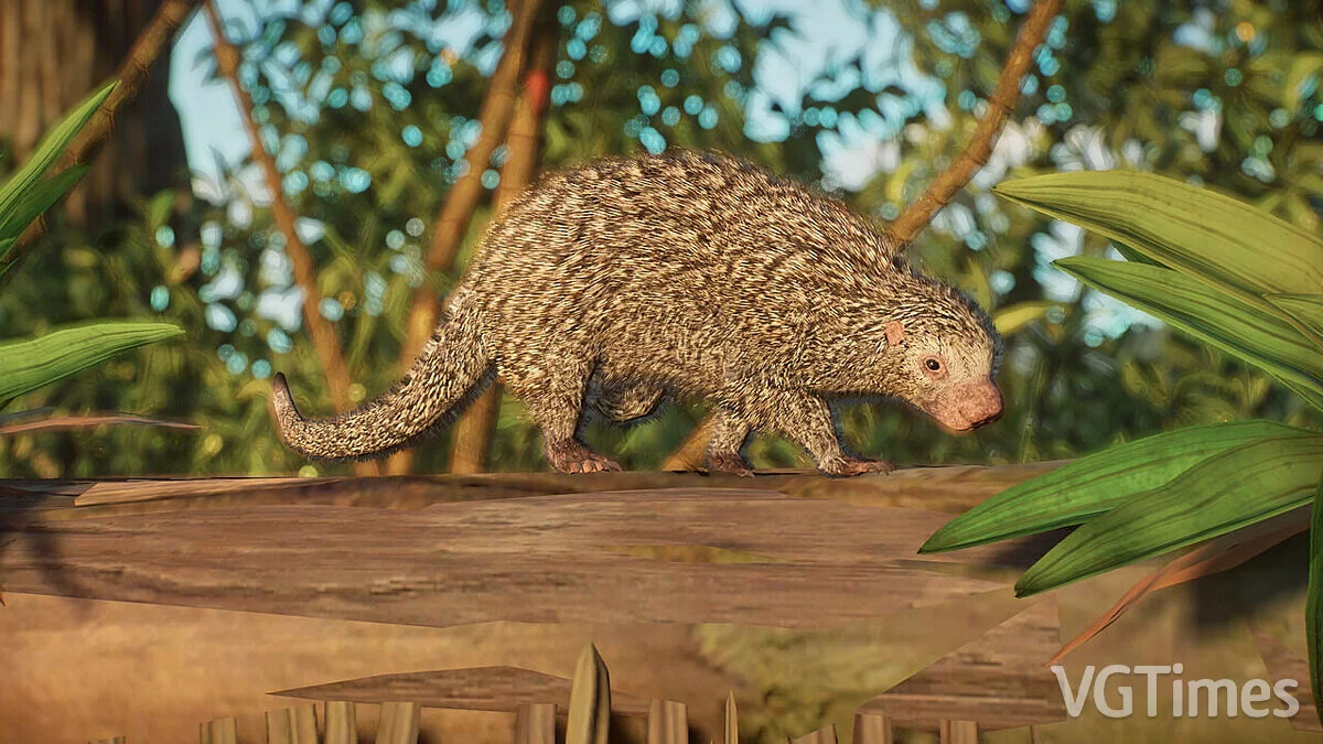 Planet Zoo — Бразильский дикобраз - новые виды