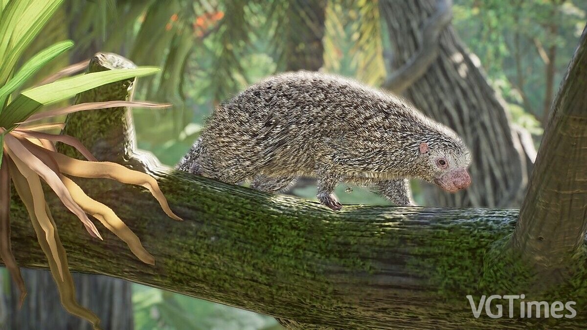 Planet Zoo — Brazilian porcupine - new species