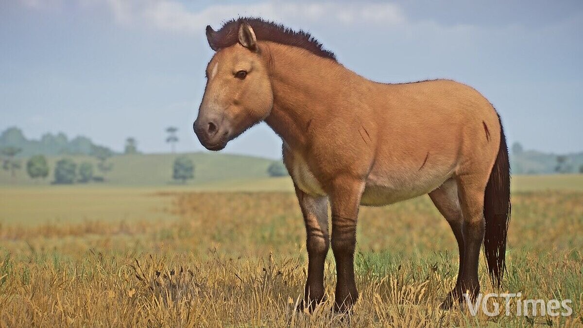 Planet Zoo — European wild horse - a new species