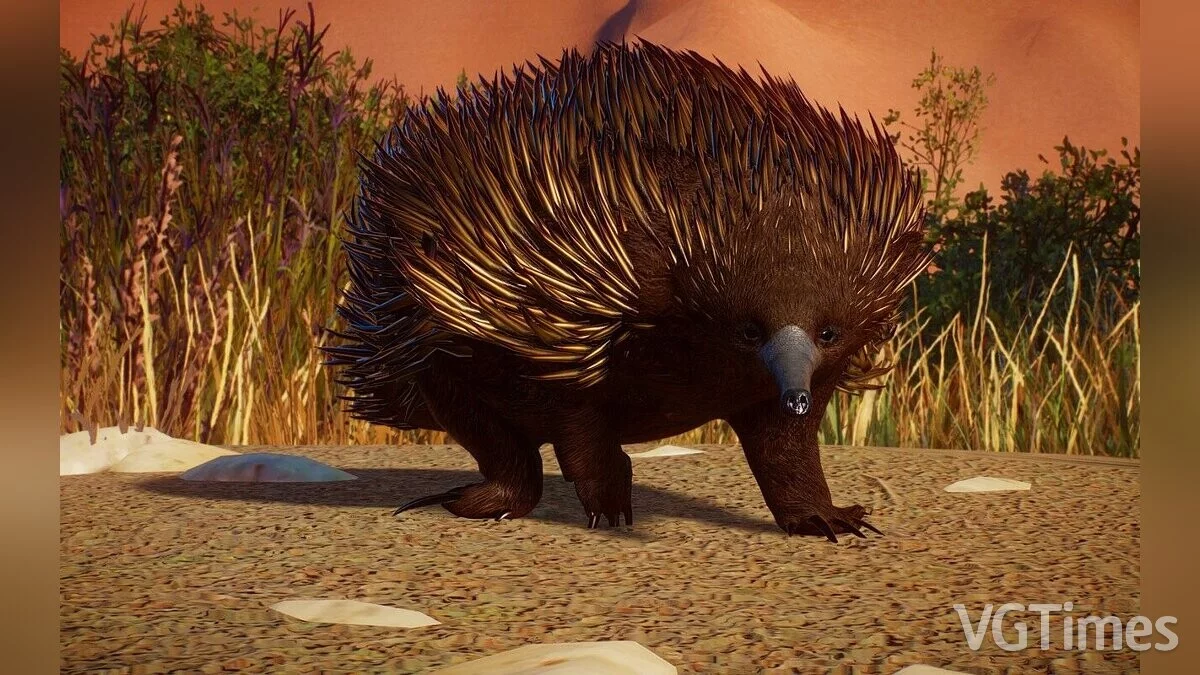 Planet Zoo — Short-beaked echidna - a new species