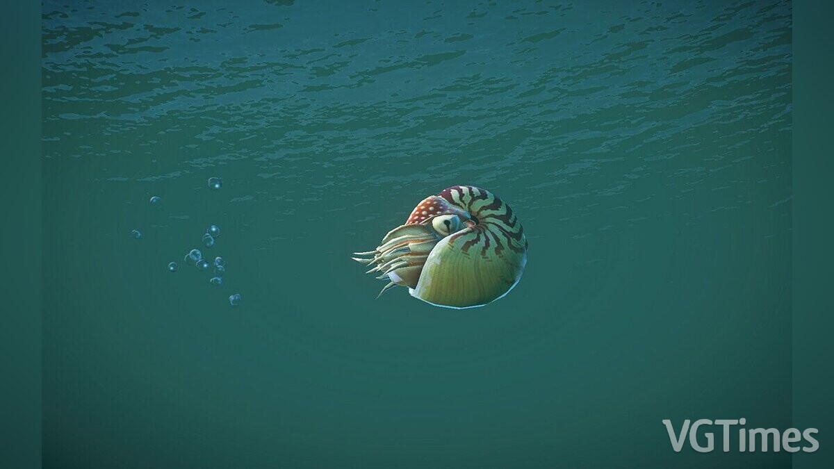 Planet Zoo — Nautilus pompilius - new species