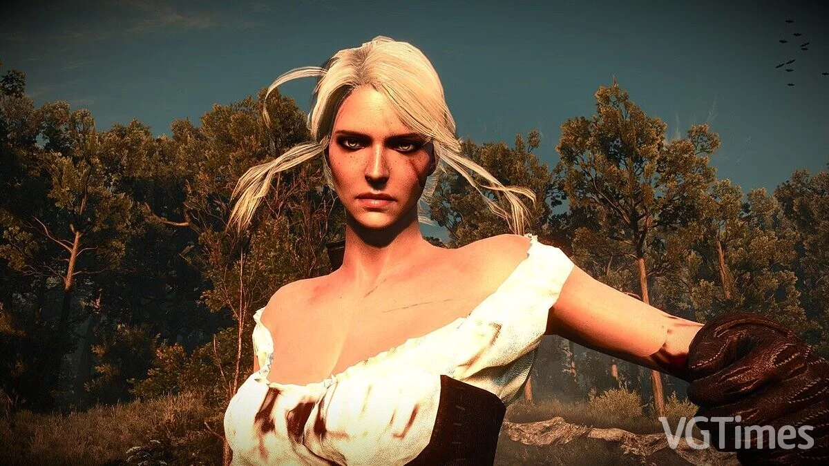 The Witcher 3: Wild Hunt - Complete Edition — Ciri's exact face