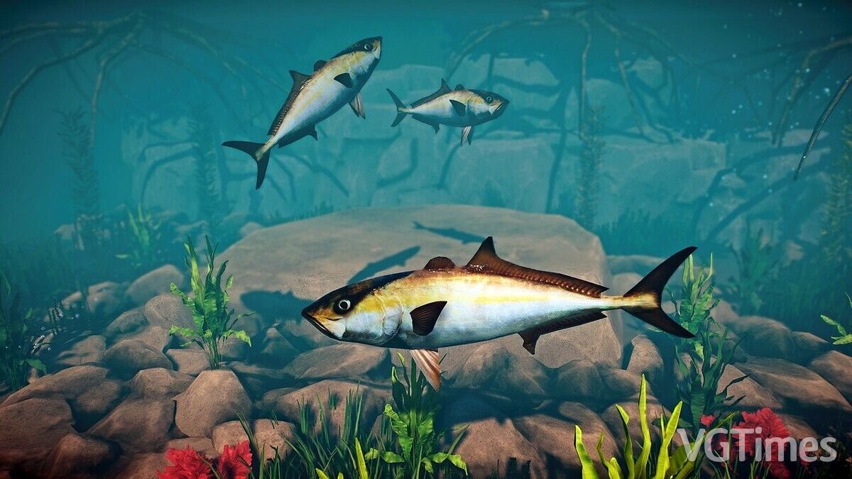 Planet Zoo — Yellowtail amberjack - new species