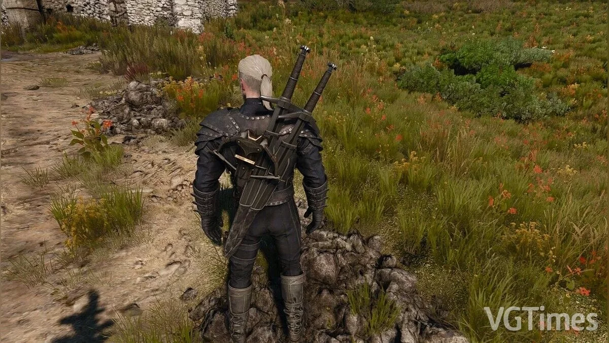 The Witcher 3: Wild Hunt - Complete Edition — Doubled swords