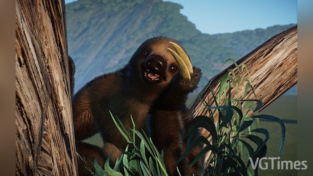 Planet Zoo — Linnaeus's two-toed sloth - a new species