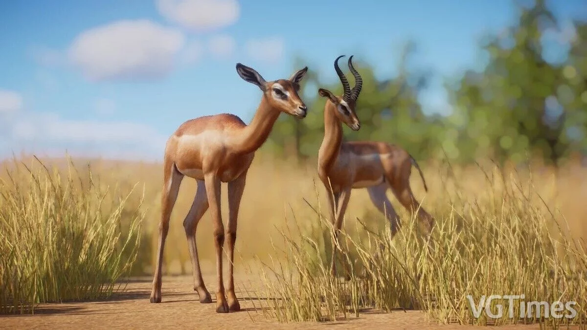 Planet Zoo — Геренук - новые виды