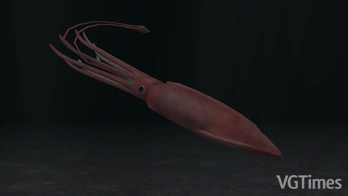 Zoo Tycoon 2 — Giant squid (new species)