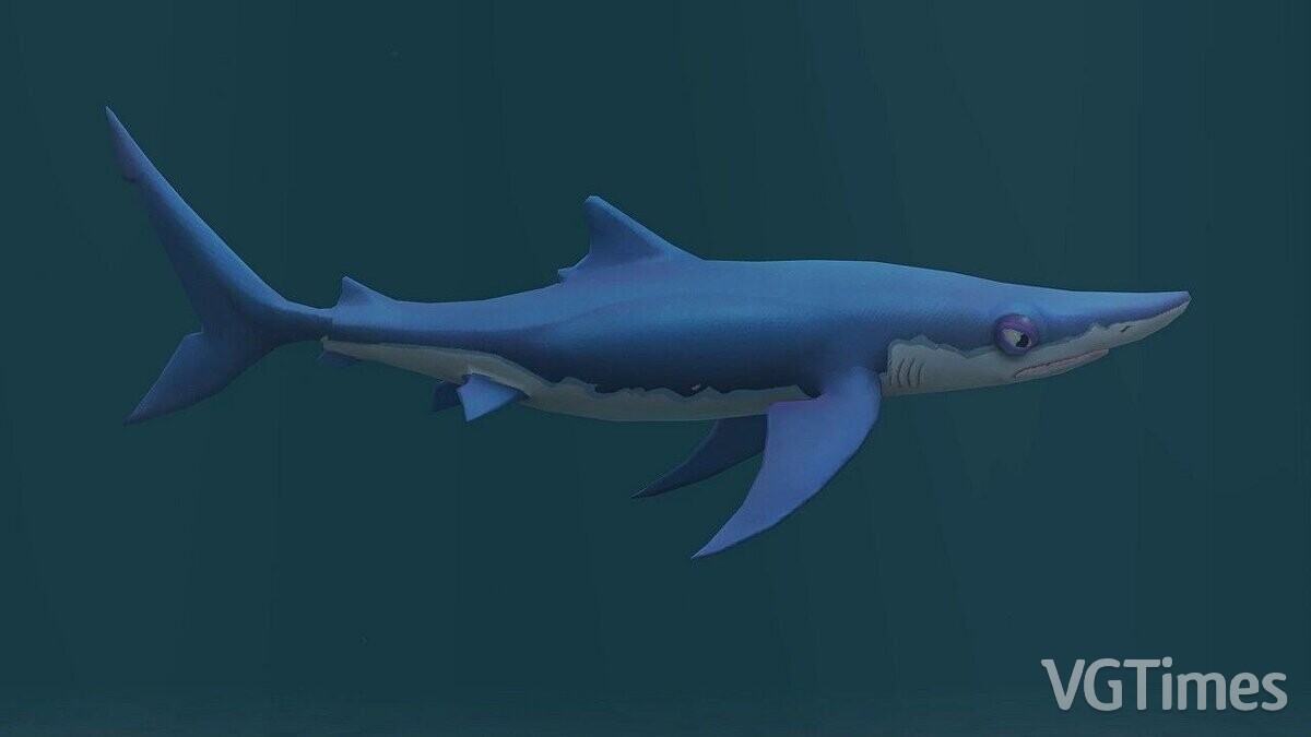 Zoo Tycoon 2 — Blue shark (new species)