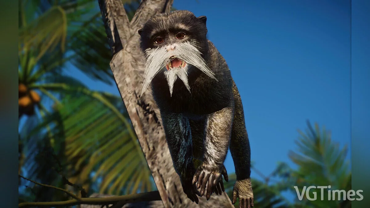 Planet Zoo — Emperor Tamarin - new species